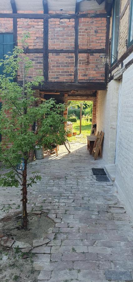 Gartenhaus Schlanstedt Huy Esterno foto