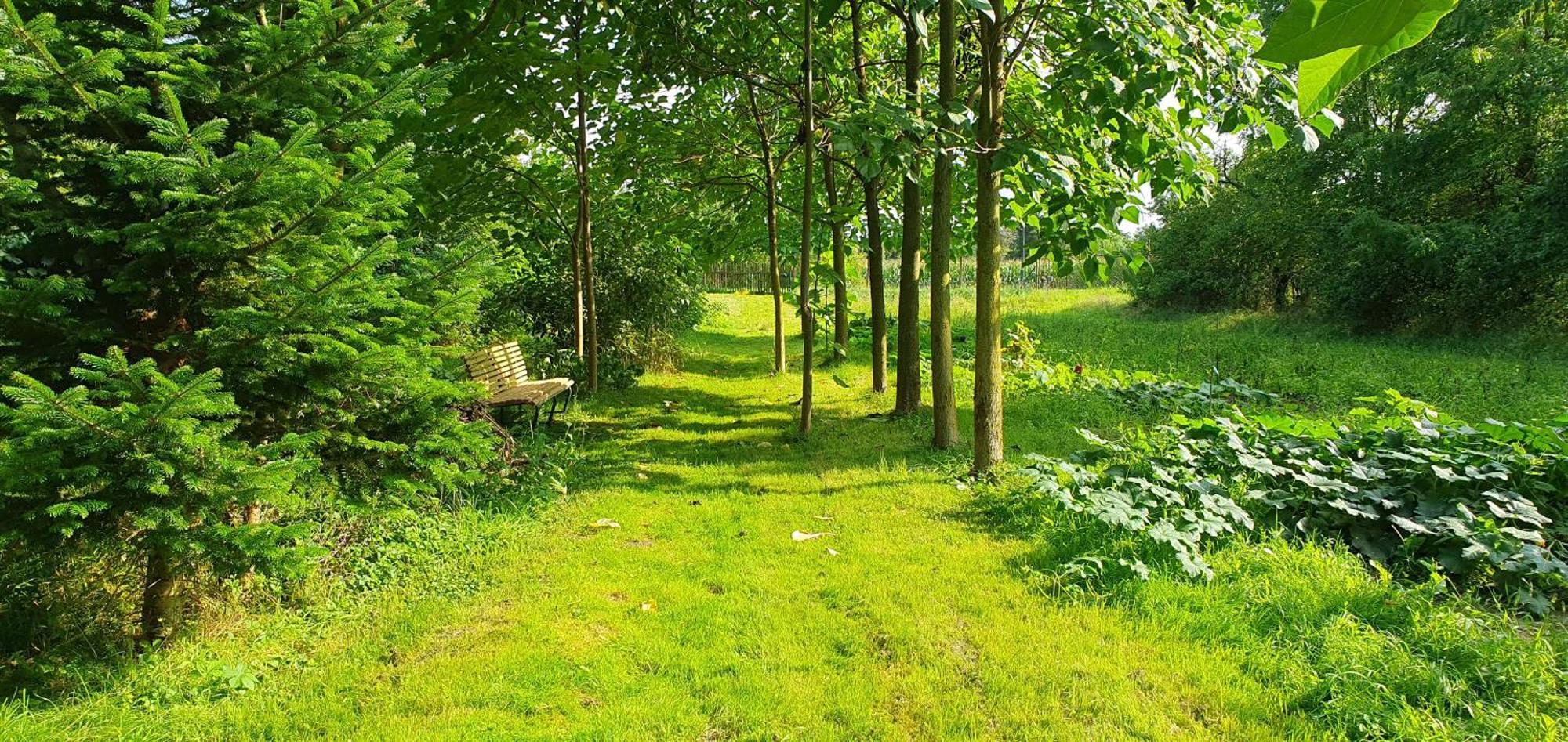 Gartenhaus Schlanstedt Huy Esterno foto