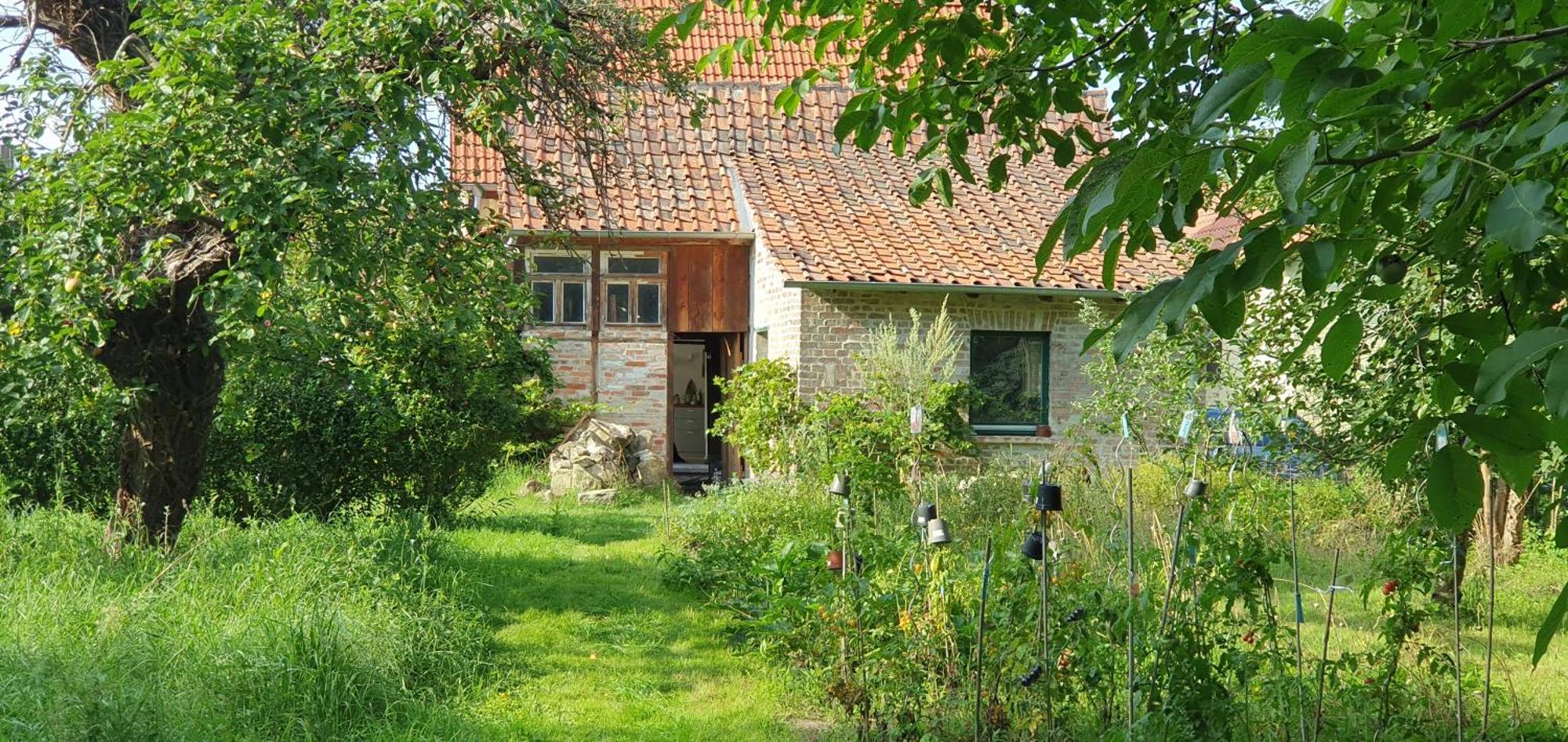 Gartenhaus Schlanstedt Huy Esterno foto