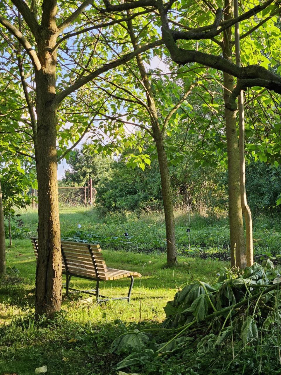 Gartenhaus Schlanstedt Huy Esterno foto