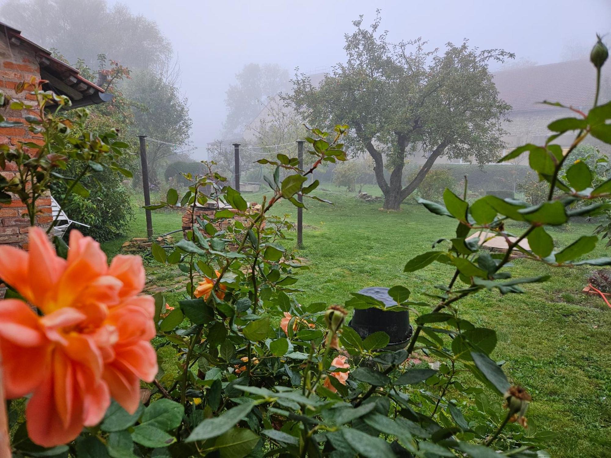 Gartenhaus Schlanstedt Huy Esterno foto